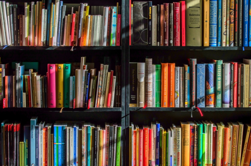 magasin-TOULON-min_books_bookstore_book_reading_shop_writer_sale_books_read-822866